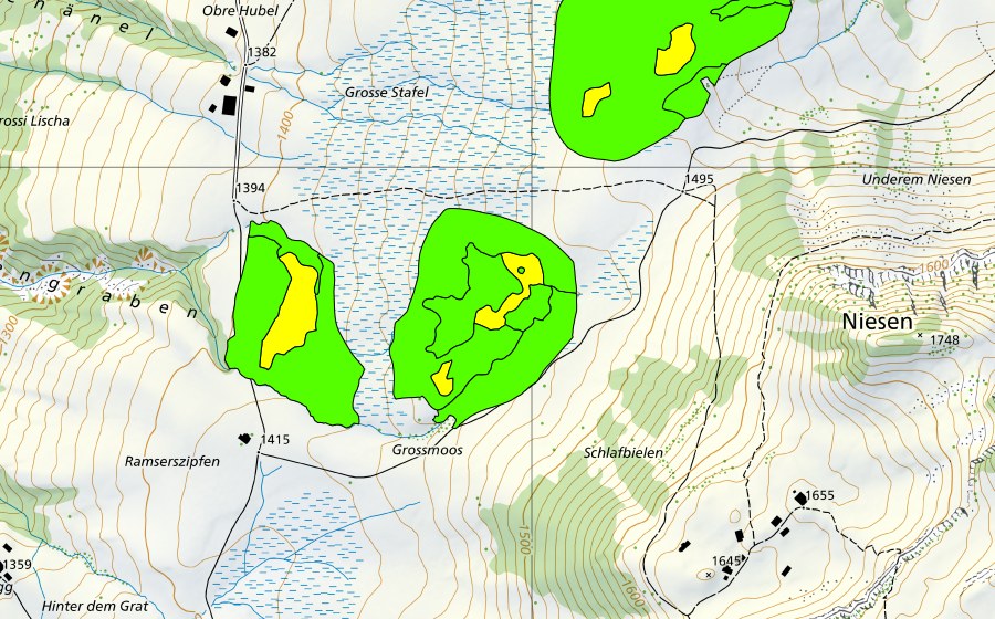 Landeskarte swisstopo mit dem Schutzperimeter von Moore zwischen Mirrenegg und Aellgäuli (Hochmoor)