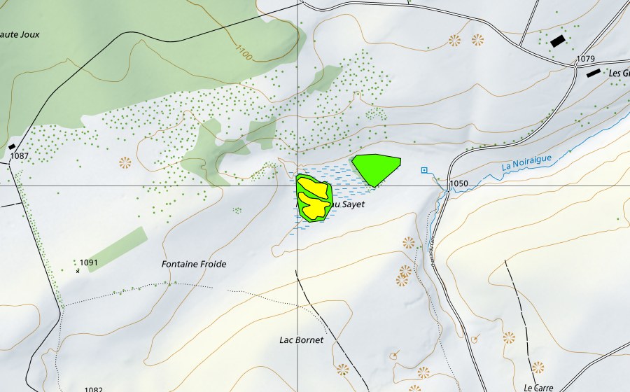 swisstopo national map showing the protected perimeter of Mouille au Sayet (Raised bog)