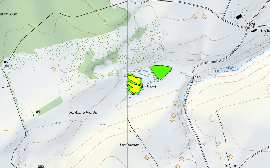 Carte nationale swisstopo avec le périmètre protégé de Mouille au Sayet (Haut-marais)