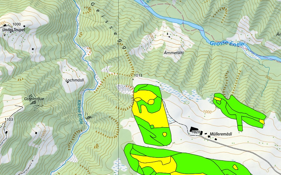 Carte nationale swisstopo avec le périmètre protégé de Müllerenmösli (Haut-marais)