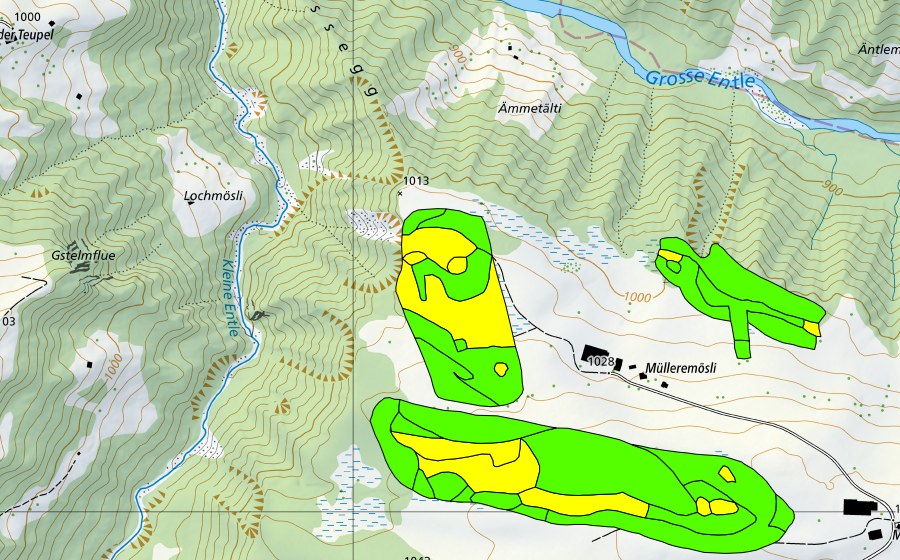 Carte nationale swisstopo avec le périmètre protégé de Müllerenmösli (Haut-marais)