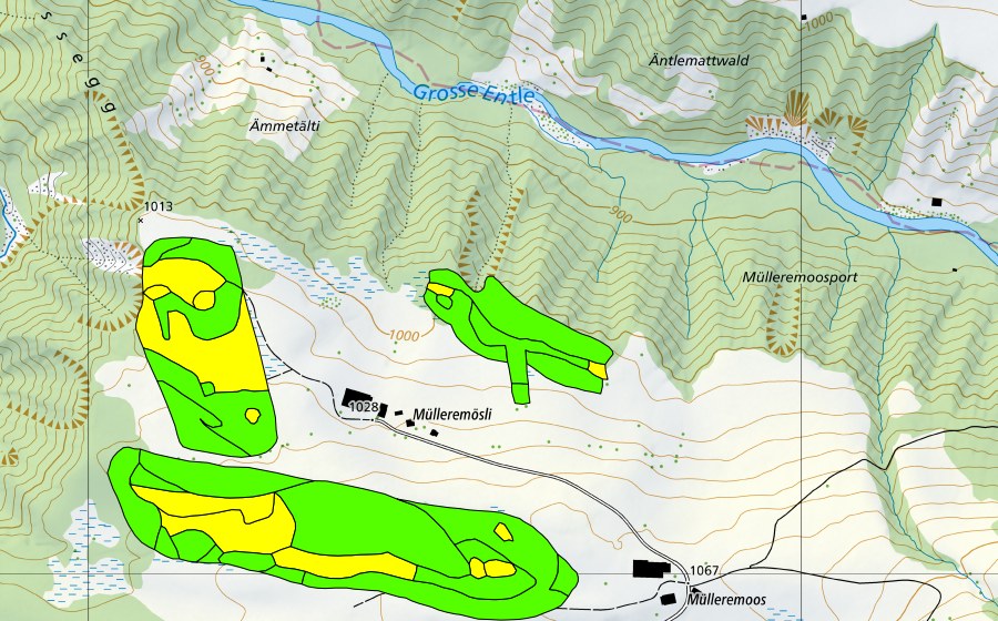 Carte nationale swisstopo avec le périmètre protégé de Müllerenmösli (Haut-marais)