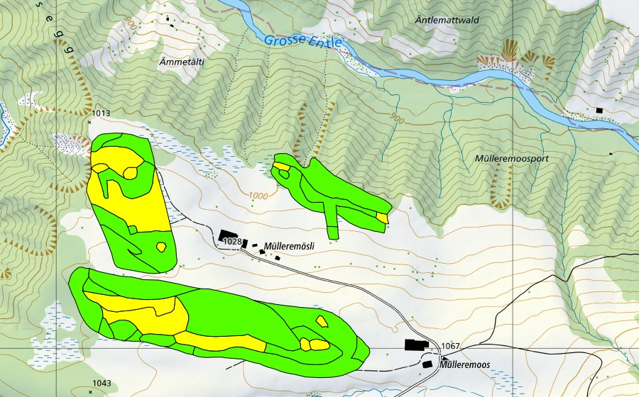 Landeskarte swisstopo mit dem Schutzperimeter von Müllerenmösli (Hochmoor)