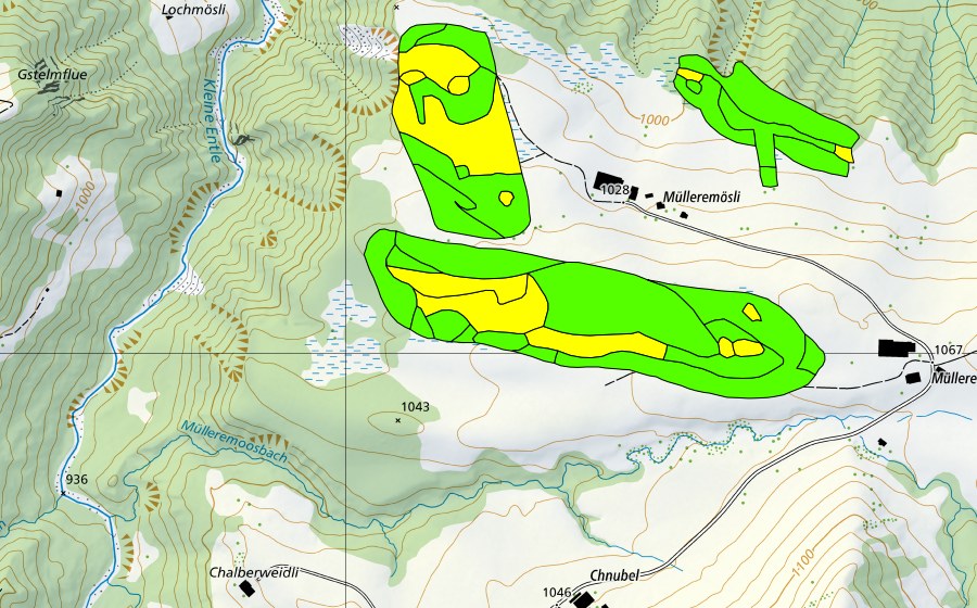 swisstopo national map showing the protected perimeter of Müllerenmösli (Raised bog)