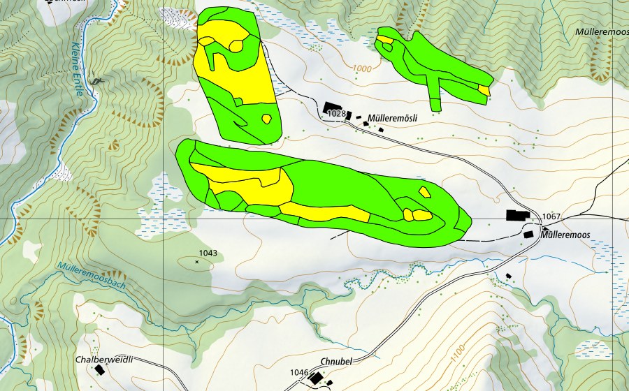 Landeskarte swisstopo mit dem Schutzperimeter von Müllerenmösli (Hochmoor)