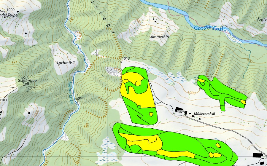 Carte nationale swisstopo avec le périmètre protégé de Müllerenmösli (Haut-marais)
