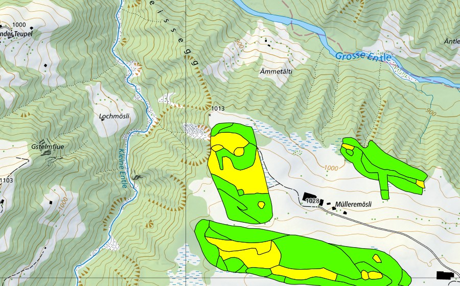 Carte nationale swisstopo avec le périmètre protégé de Müllerenmösli (Haut-marais)