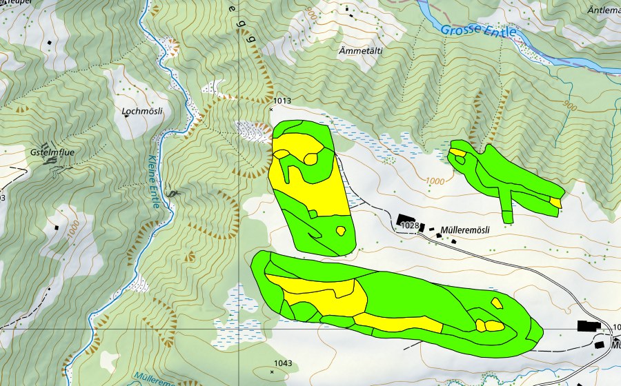 Carte nationale swisstopo avec le périmètre protégé de Müllerenmösli (Haut-marais)