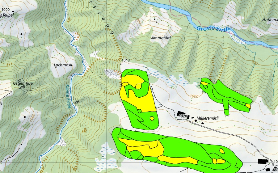 swisstopo national map showing the protected perimeter of Müllerenmösli (Raised bog)