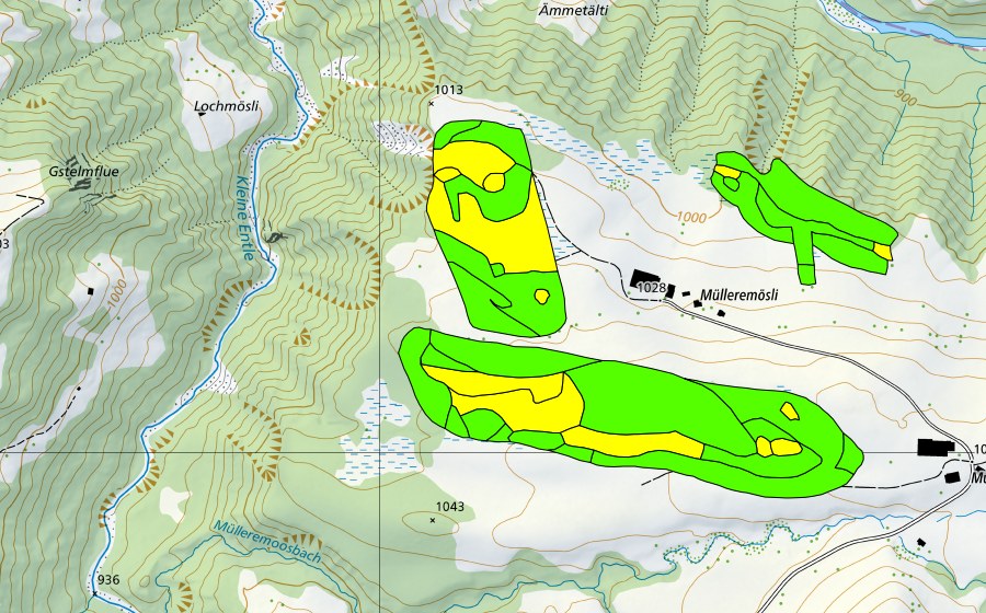 Carte nationale swisstopo avec le périmètre protégé de Müllerenmösli (Haut-marais)