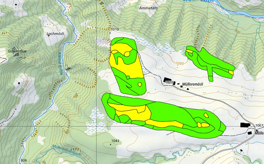 Landeskarte swisstopo mit dem Schutzperimeter von Müllerenmösli (Hochmoor)