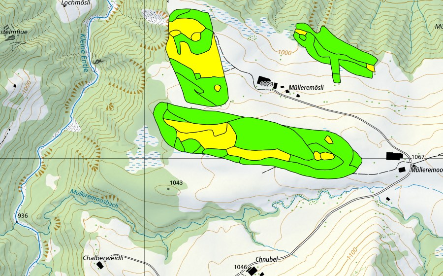 Carte nationale swisstopo avec le périmètre protégé de Müllerenmösli (Haut-marais)
