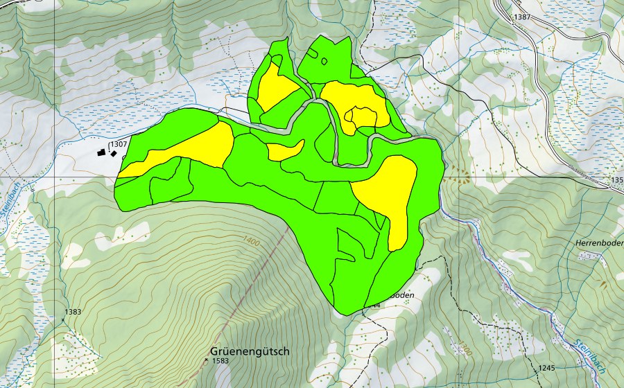 Landeskarte swisstopo mit dem Schutzperimeter von Münchenboden/Grund/Ochsenalp (Hochmoor)