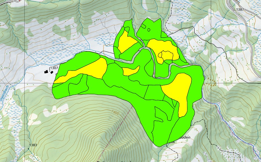 Landeskarte swisstopo mit dem Schutzperimeter von Münchenboden/Grund/Ochsenalp (Hochmoor)