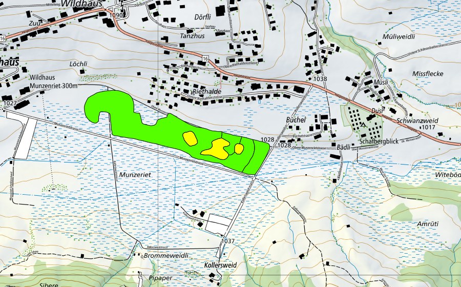 Landeskarte swisstopo mit dem Schutzperimeter von Munzenriet (Hochmoor)