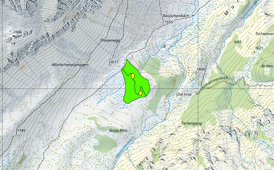 Carte nationale swisstopo avec le périmètre protégé de Mürtschen (Haut-marais)