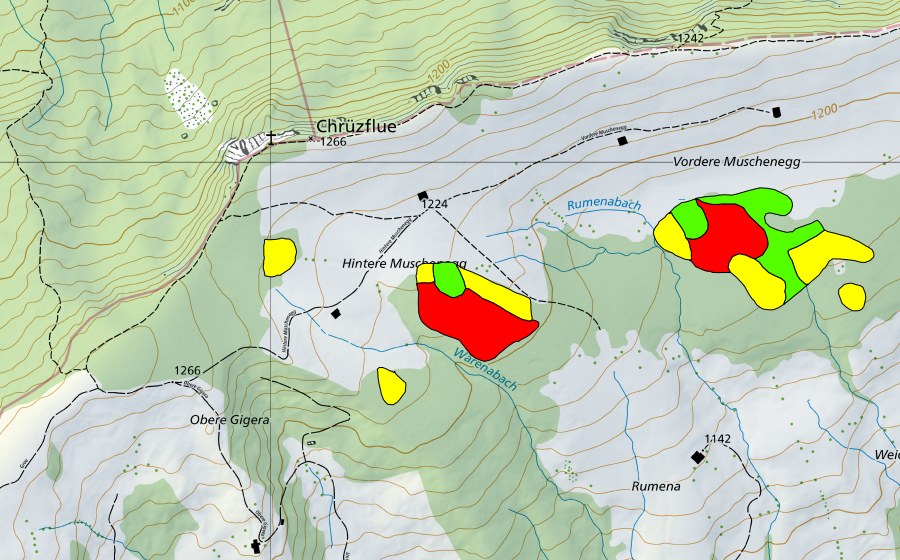 Landeskarte swisstopo mit dem Schutzperimeter von Muschenegg (Hochmoor)
