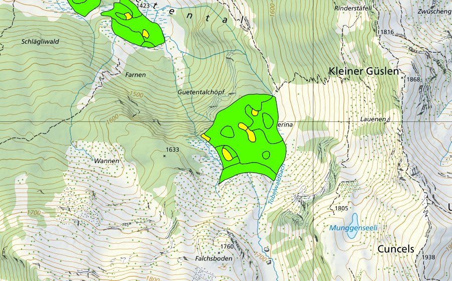swisstopo national map showing the protected perimeter of Naserina (Raised bog)