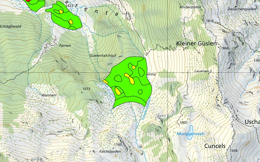 Carte nationale swisstopo avec le périmètre protégé de Naserina (Haut-marais)