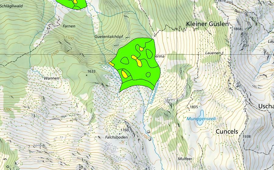 Landeskarte swisstopo mit dem Schutzperimeter von Naserina (Hochmoor)