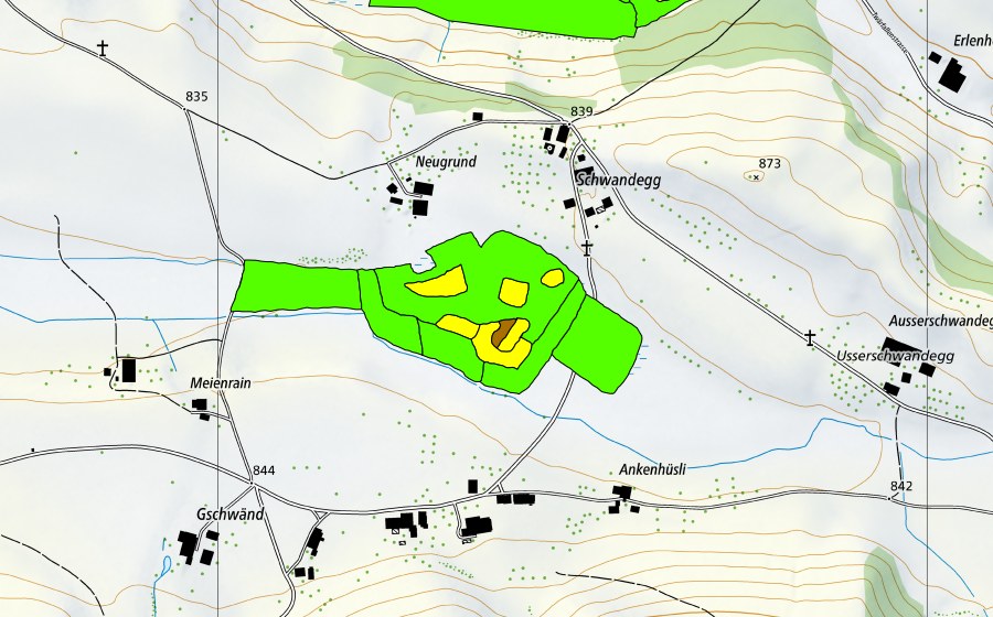 Landeskarte swisstopo mit dem Schutzperimeter von Neugrundmoor/Würzgarten (Hochmoor)