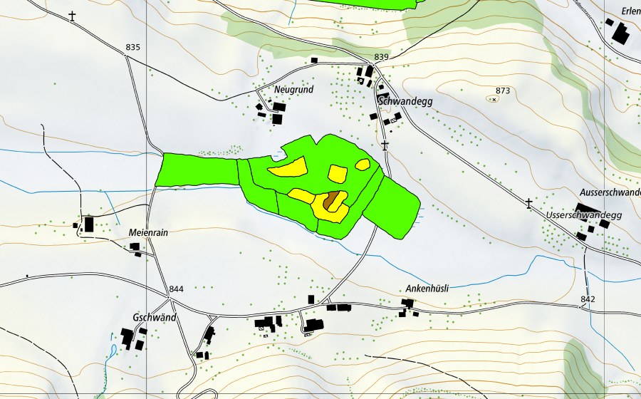 swisstopo national map showing the protected perimeter of Neugrundmoor/Würzgarten (Raised bog)