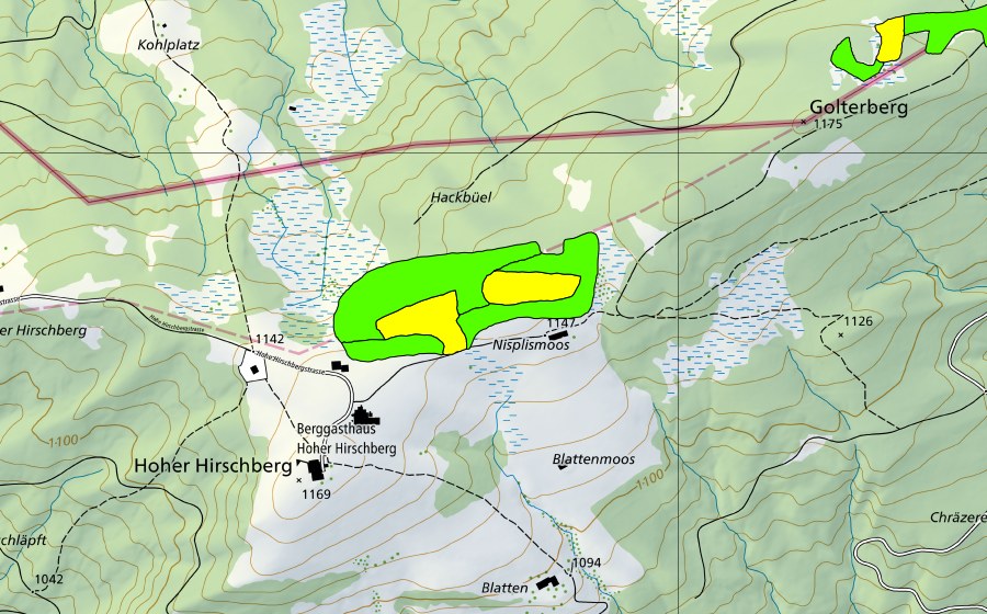 Landeskarte swisstopo mit dem Schutzperimeter von Nisplismoos (Hochmoor)