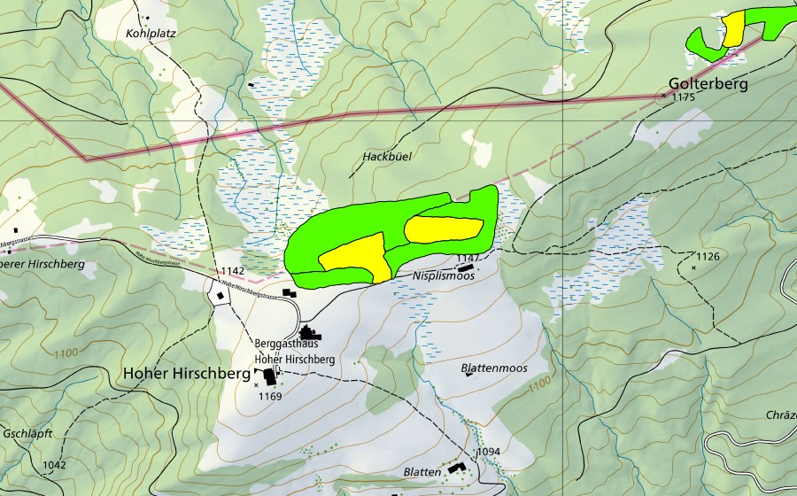Landeskarte swisstopo mit dem Schutzperimeter von Nisplismoos (Hochmoor)