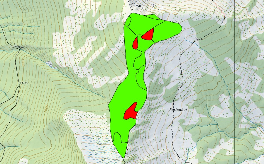 swisstopo national map showing the protected perimeter of Nördlich Haldimattstock (Raised bog)