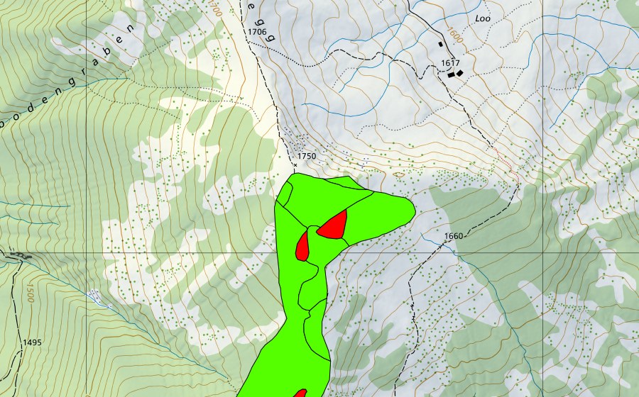 swisstopo national map showing the protected perimeter of Nördlich Haldimattstock (Raised bog)
