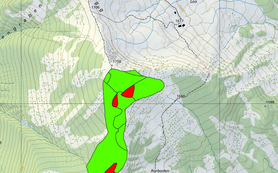 swisstopo national map showing the protected perimeter of Nördlich Haldimattstock (Raised bog)