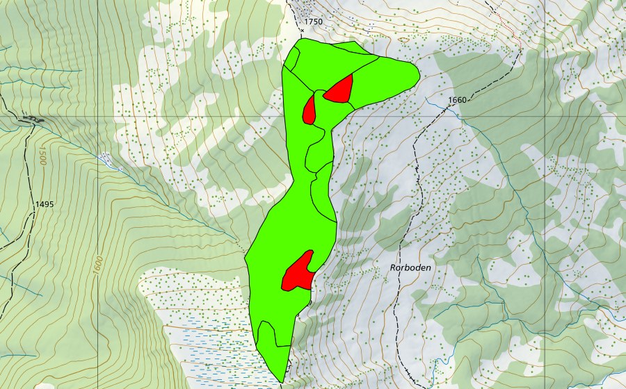 swisstopo national map showing the protected perimeter of Nördlich Haldimattstock (Raised bog)