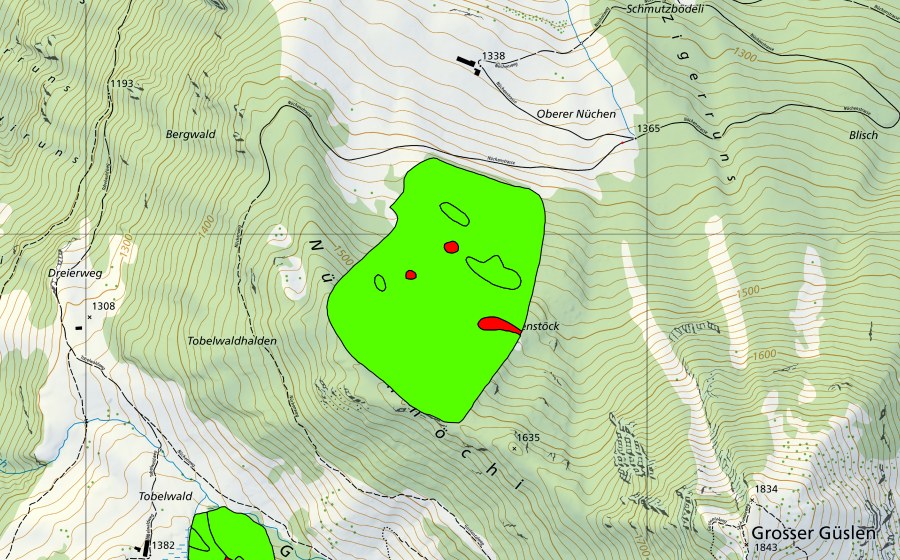Carte nationale swisstopo avec le périmètre protégé de Nüchenstöck (Haut-marais)