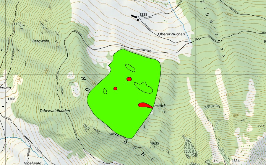 swisstopo national map showing the protected perimeter of Nüchenstöck (Raised bog)