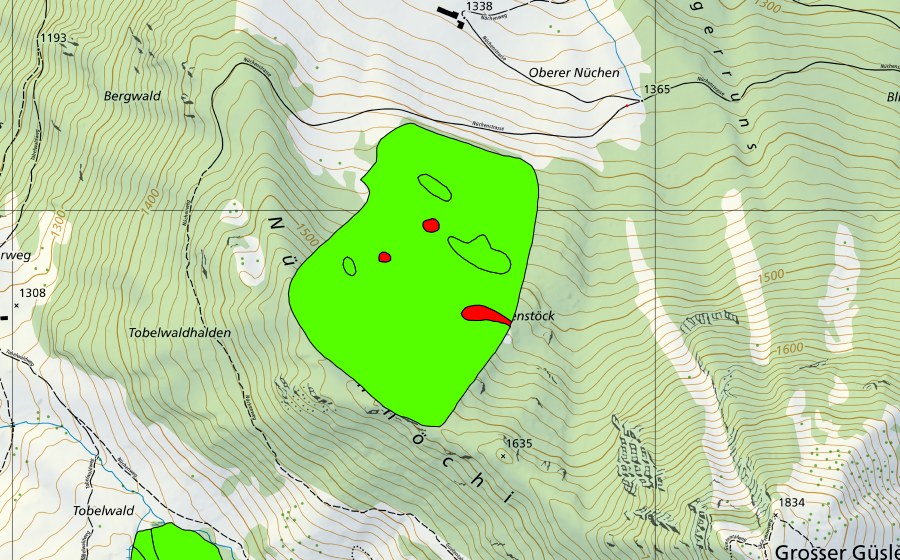 swisstopo national map showing the protected perimeter of Nüchenstöck (Raised bog)