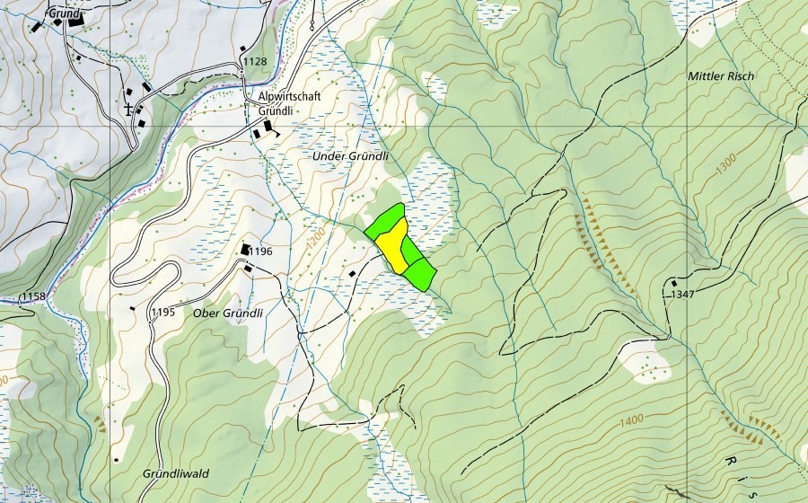 Landeskarte swisstopo mit dem Schutzperimeter von Ober Gründli (Hochmoor)