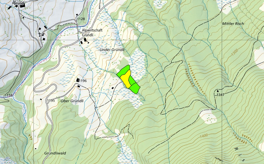 swisstopo national map showing the protected perimeter of Ober Gründli (Raised bog)