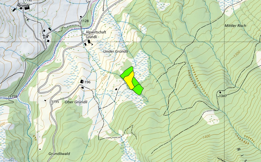 Carte nationale swisstopo avec le périmètre protégé de Ober Gründli (Haut-marais)