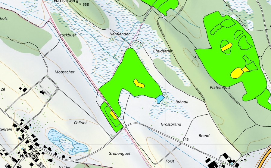 Carte nationale swisstopo avec le périmètre protégé de Oberhöfler Riet (Haut-marais)
