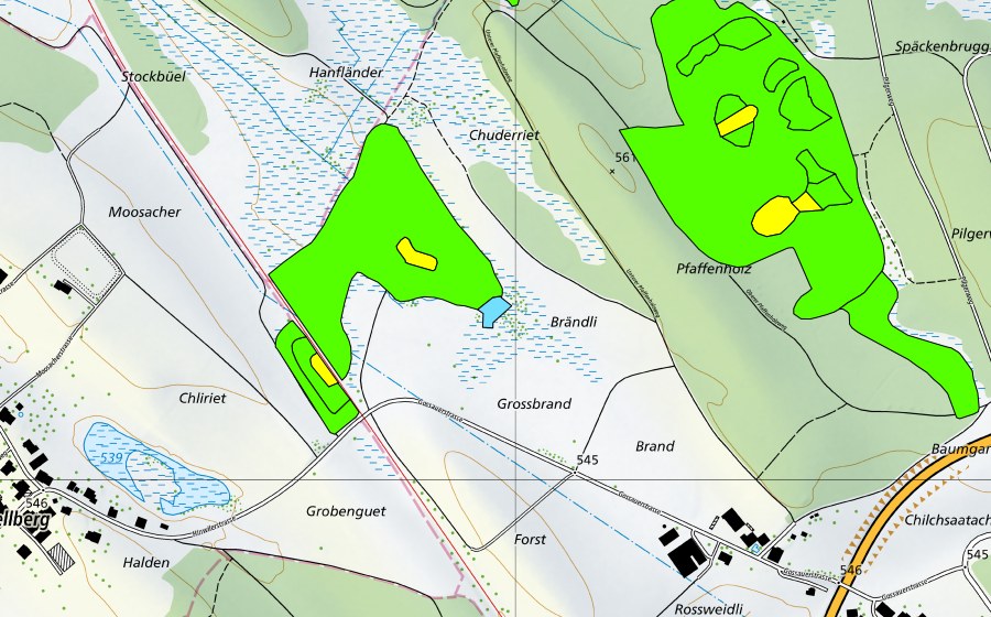 Carte nationale swisstopo avec le périmètre protégé de Oberhöfler Riet (Haut-marais)