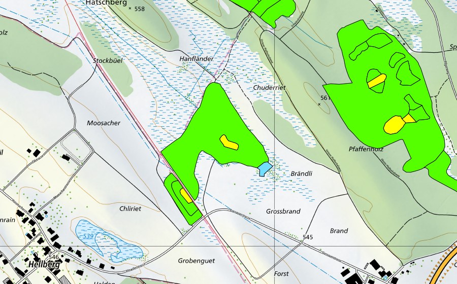 Landeskarte swisstopo mit dem Schutzperimeter von Oberhöfler Riet (Hochmoor)
