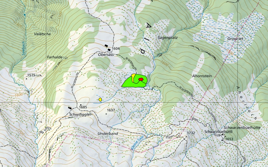 Carte nationale swisstopo avec le périmètre protégé de Obersäss (Haut-marais)