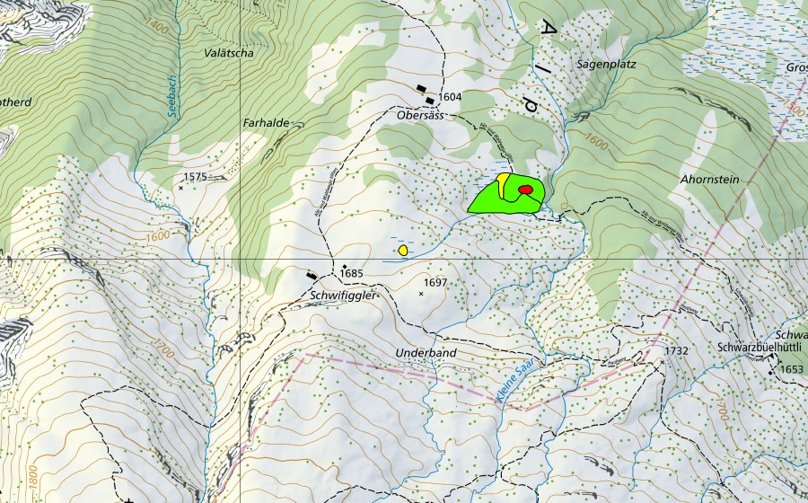 Landeskarte swisstopo mit dem Schutzperimeter von Obersäss (Hochmoor)