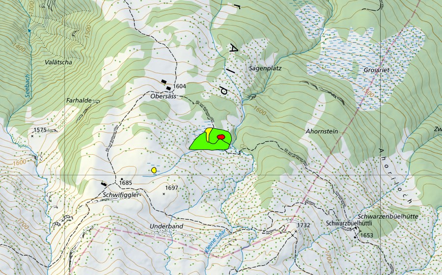 Landeskarte swisstopo mit dem Schutzperimeter von Obersäss (Hochmoor)