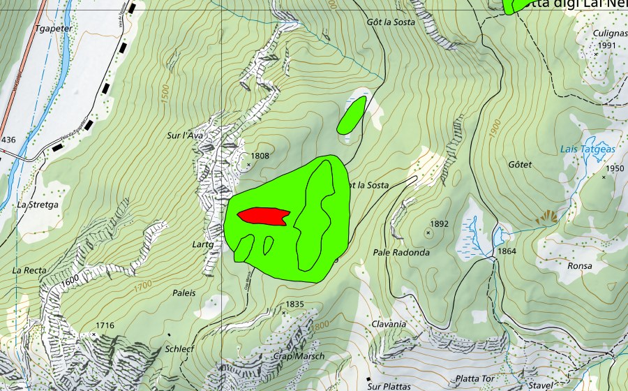 Carte nationale swisstopo avec le périmètre protégé de Paleis (Haut-marais)