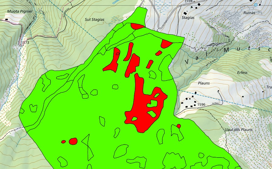 Landeskarte swisstopo mit dem Schutzperimeter von Palius (Val Mutschnengia) (Hochmoor)