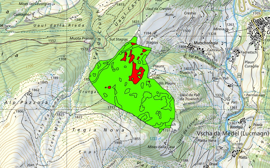 Landeskarte swisstopo mit dem Schutzperimeter von Palius (Val Mutschnengia) (Hochmoor)