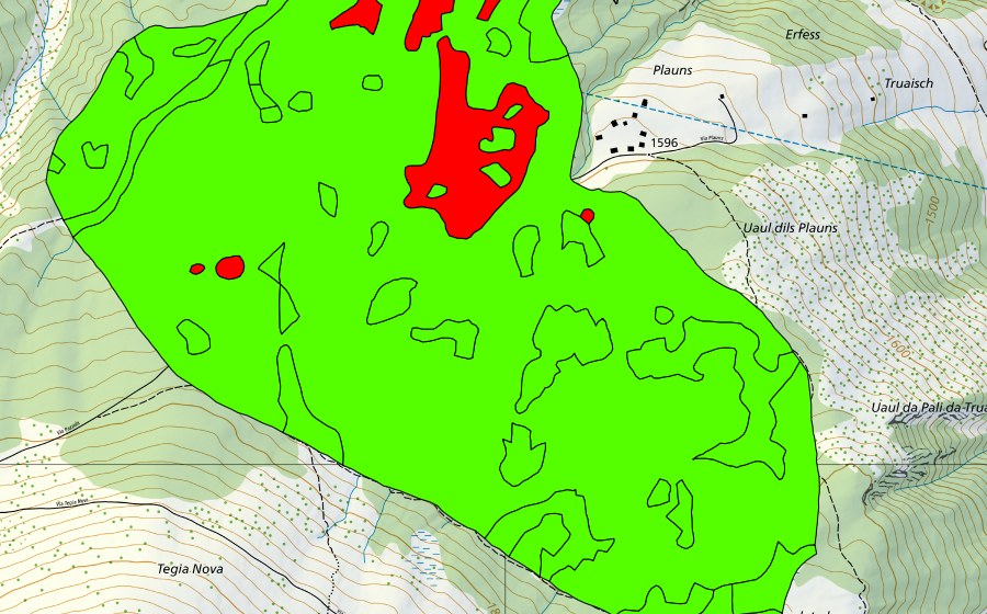 Carte nationale swisstopo avec le périmètre protégé de Palius (Val Mutschnengia) (Haut-marais)