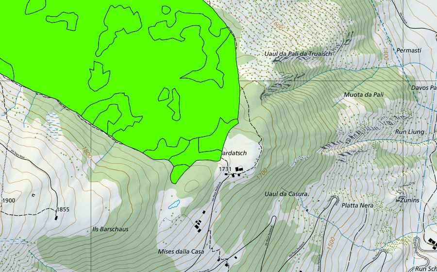 Carte nationale swisstopo avec le périmètre protégé de Palius (Val Mutschnengia) (Haut-marais)