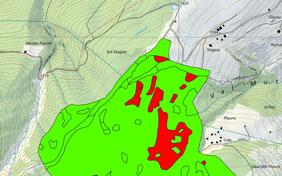 Carte nationale swisstopo avec le périmètre protégé de Palius (Val Mutschnengia) (Haut-marais)